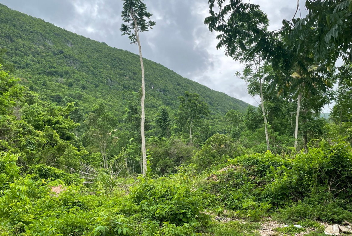Eighth image of Porus Clarks Town Road in Porus, Manchester, Jamaica - property is For Sale