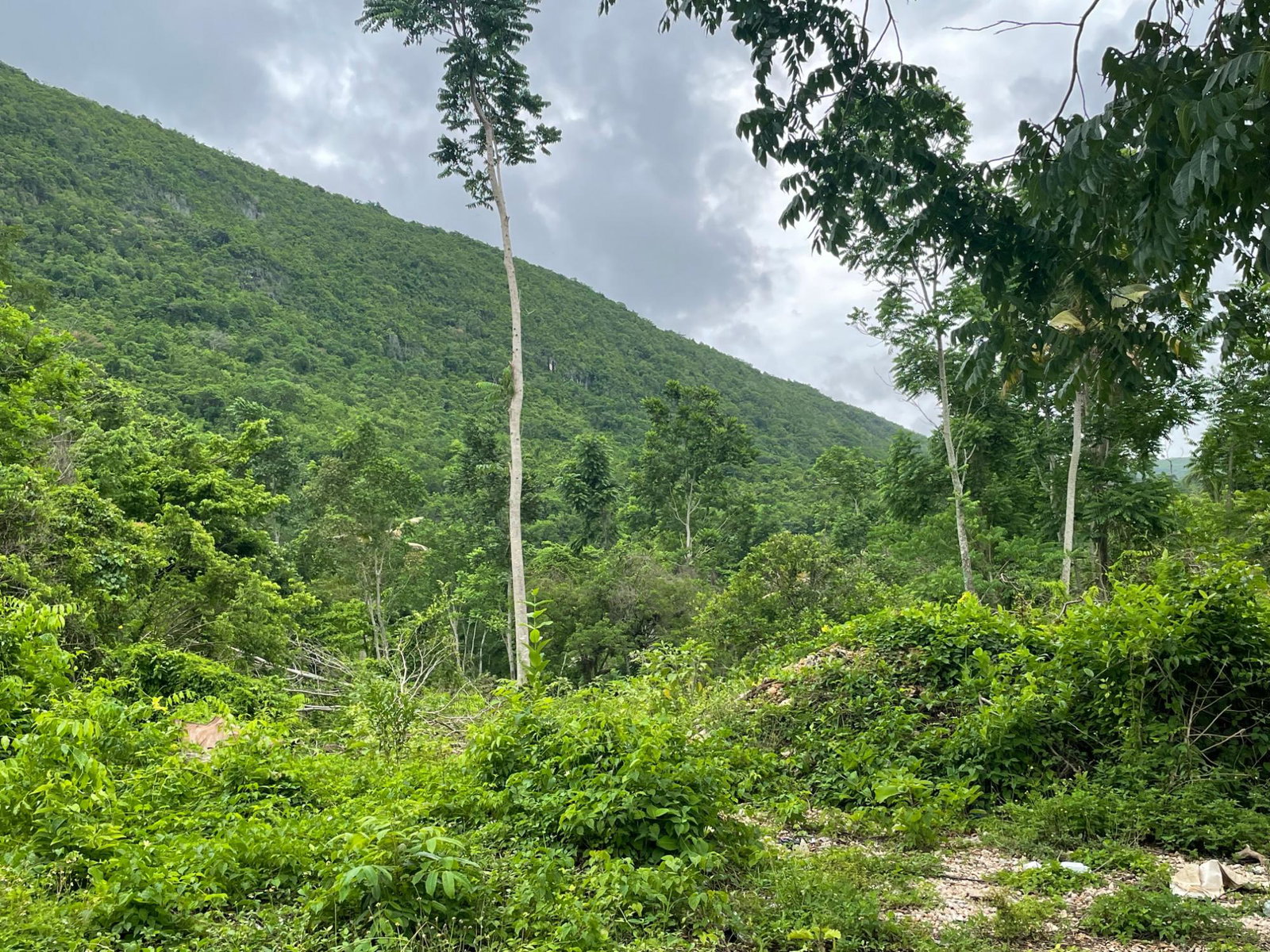 Residential-Lot-for-Sale-in-Porus-Manchester-Spacious-Secure-Community Eighth image of Porus Clarks Town Road in Porus, Manchester, Jamaica - property is For Sale