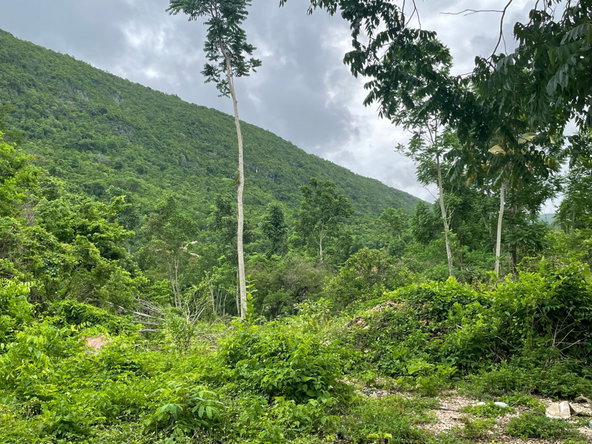 Eighth image of Porus Clarks Town Road in Porus, Manchester, Jamaica - property is For Sale