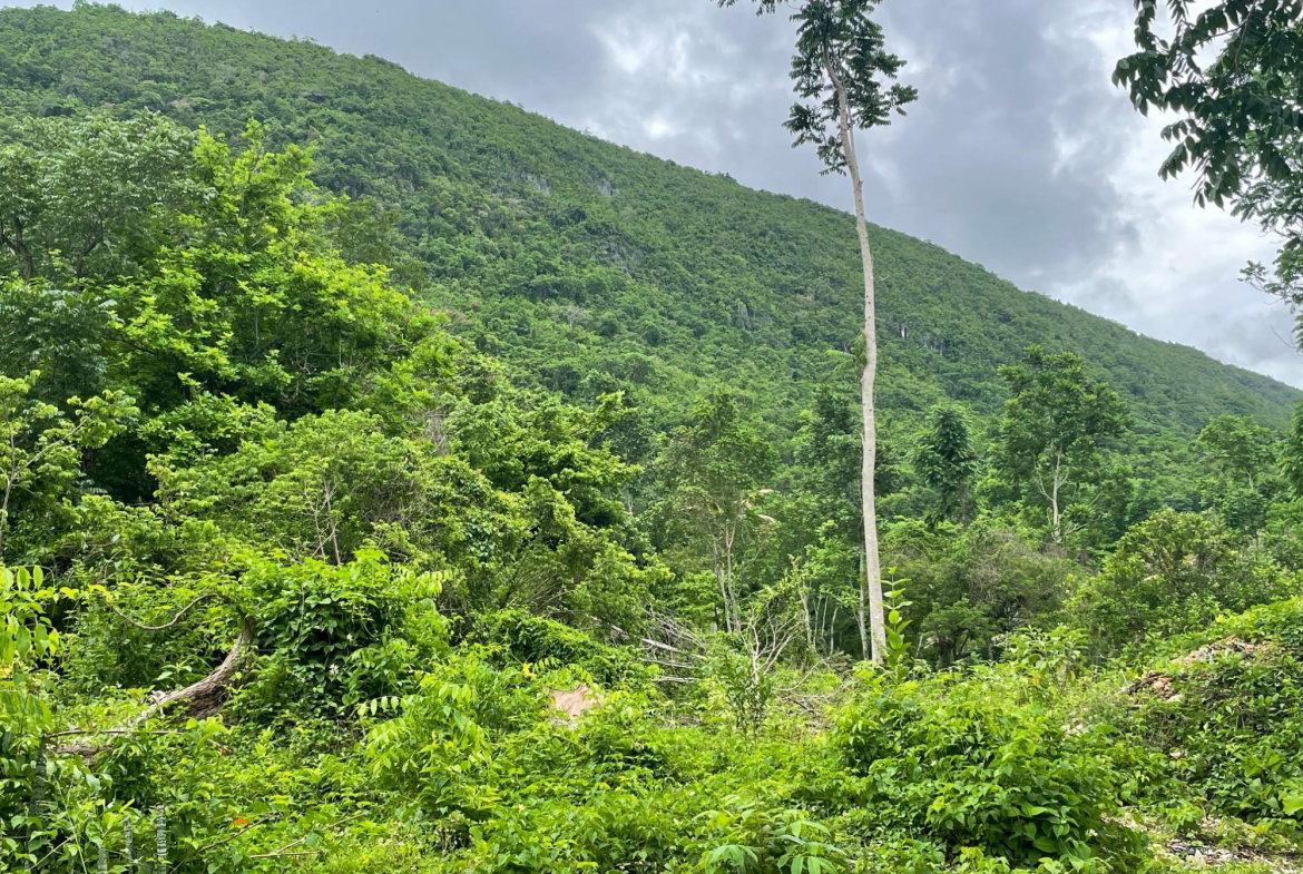 Ninth image of Porus Clarks Town Road in Porus, Manchester, Jamaica - property is For Sale