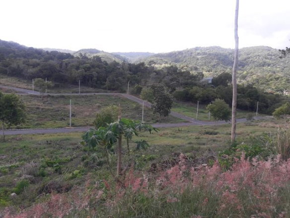 First image of 84 Pyramid Heights in Ocho Rios, St. Ann, Jamaica - property is For Sale