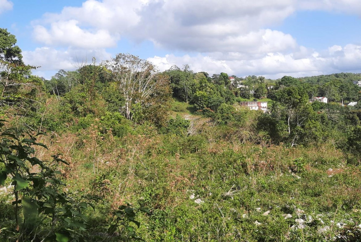 Second image of Rocky Hill Colgate, St. Ann in Ocho Rios, St. Ann, Jamaica - property is For Sale