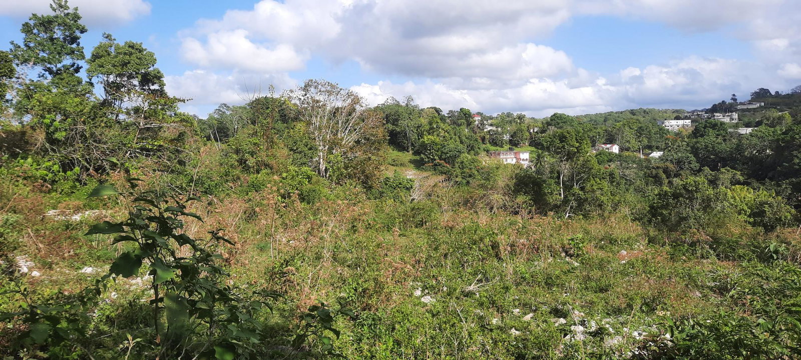 Second image of Rocky Hill Colgate, St. Ann in Ocho Rios, St. Ann, Jamaica - property is For Sale