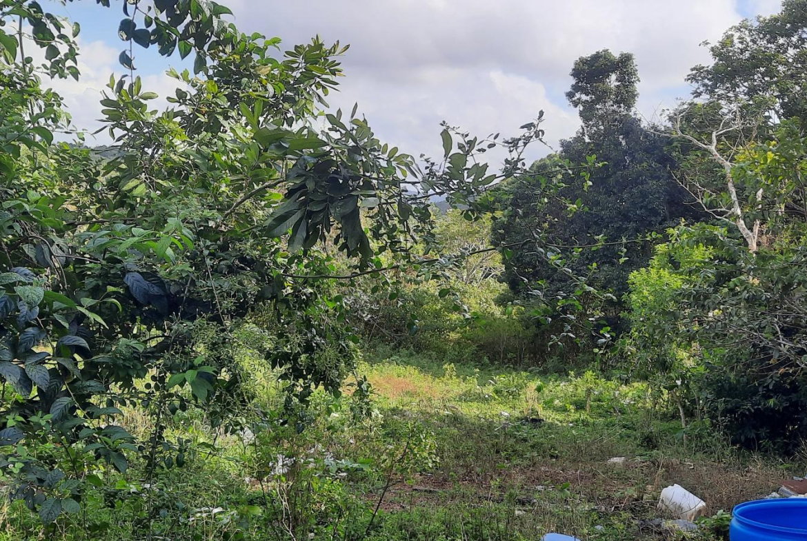First image of Rocky Hill Colgate, St. Ann in Ocho Rios, St. Ann, Jamaica - property is For Sale