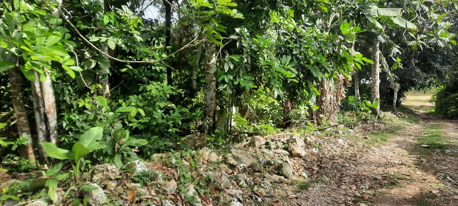 Third image of Rocky Hill Colgate, St. Ann in Ocho Rios, St. Ann, Jamaica - property is For Sale