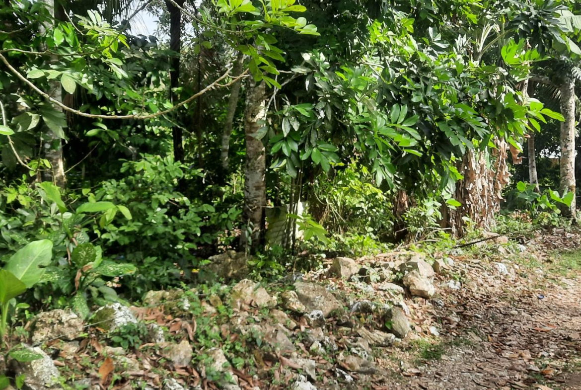 Fourth image of Rocky Hill Colgate, St. Ann in Ocho Rios, St. Ann, Jamaica - property is For Sale