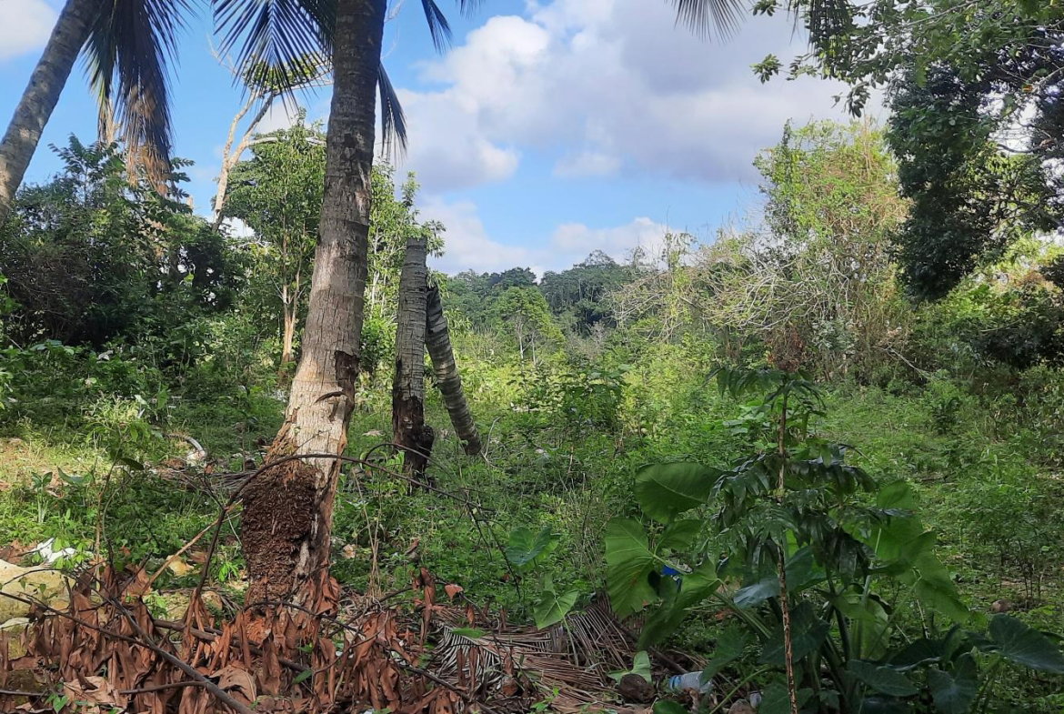 Fifth image of Rocky Hill Colgate, St. Ann in Ocho Rios, St. Ann, Jamaica - property is For Sale