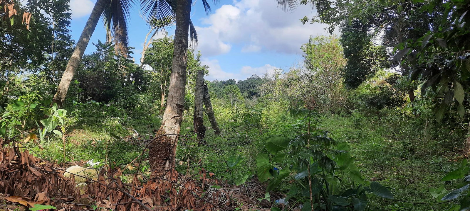 Fifth image of Rocky Hill Colgate, St. Ann in Ocho Rios, St. Ann, Jamaica - property is For Sale