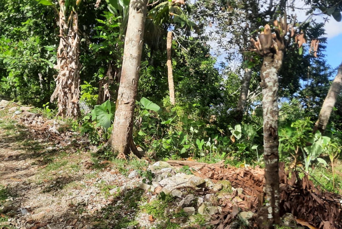 Sixth image of Rocky Hill Colgate, St. Ann in Ocho Rios, St. Ann, Jamaica - property is For Sale