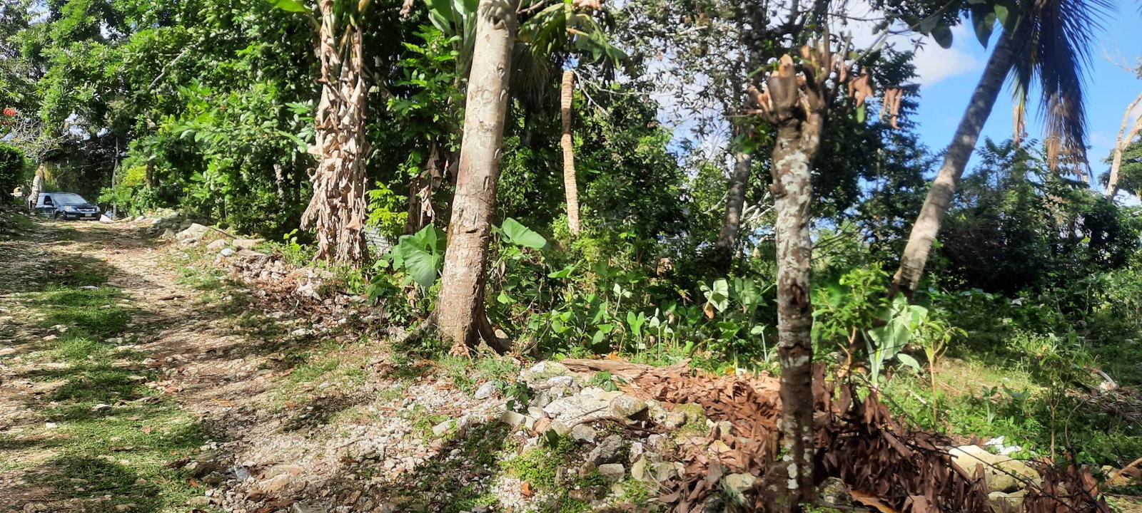 Sixth image of Rocky Hill Colgate, St. Ann in Ocho Rios, St. Ann, Jamaica - property is For Sale