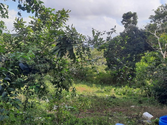 First image of Rocky Hill Colgate, St. Ann in Ocho Rios, St. Ann, Jamaica - property is For Sale