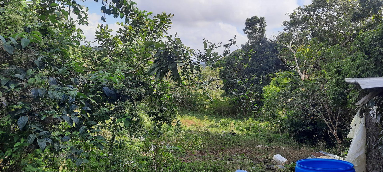 First image of Rocky Hill Colgate, St. Ann in Ocho Rios, St. Ann, Jamaica - property is For Sale