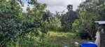 First image of Rocky Hill Colgate, St. Ann in Ocho Rios, St. Ann, Jamaica - property is For Sale
