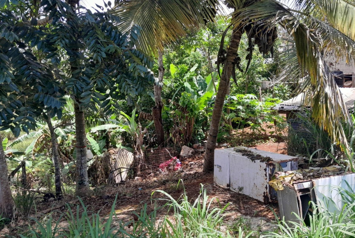 Second image of Rose Hill Manchester in Newport, Manchester, Jamaica - property is For Sale