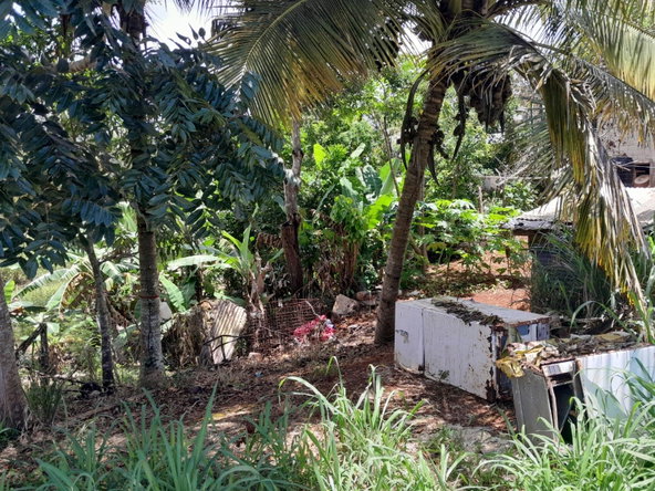Second image of Rose Hill Manchester in Newport, Manchester, Jamaica - property is For Sale