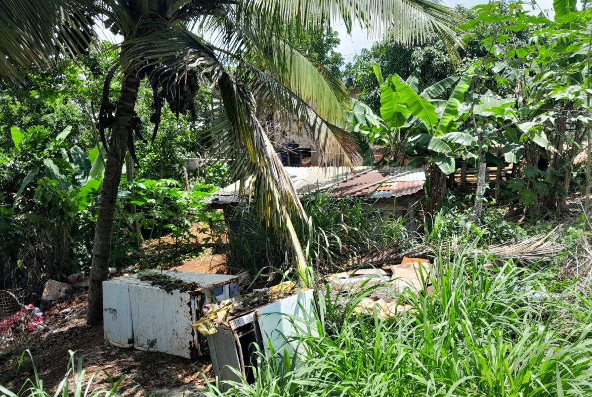 First image of Rose Hill Manchester in Newport, Manchester, Jamaica - property is For Sale