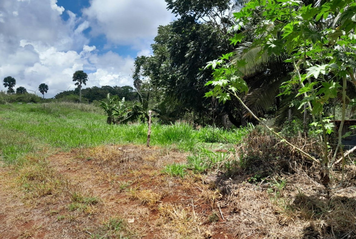 Thirteenth image of Rose Hill Manchester in Newport, Manchester, Jamaica - property is For Sale