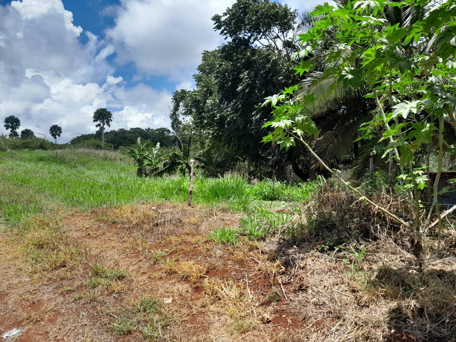 Thirteenth image of Rose Hill Manchester in Newport, Manchester, Jamaica - property is For Sale