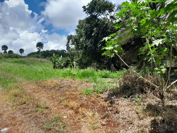 Thirteenth image of Rose Hill Manchester in Newport, Manchester, Jamaica - property is For Sale