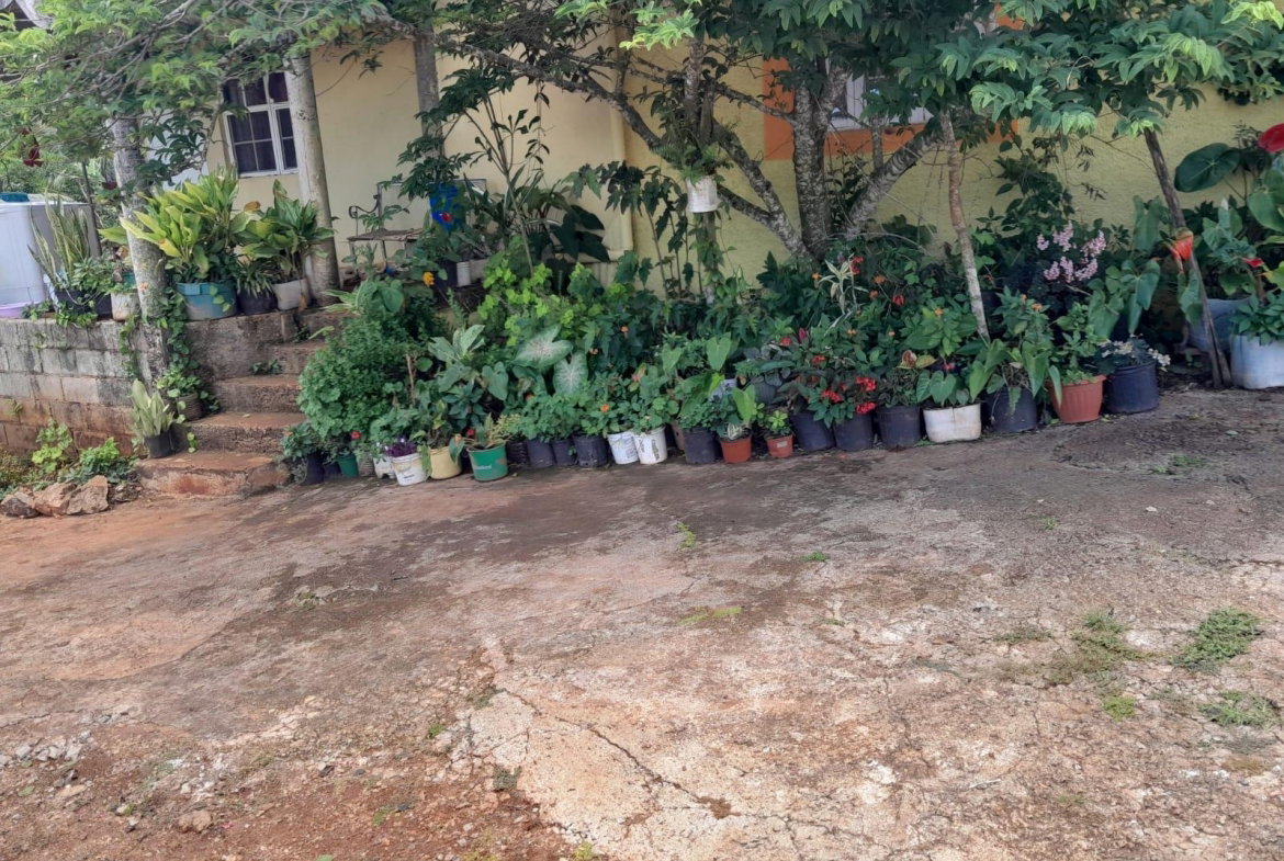 Fourteenth image of Rose Hill Manchester in Newport, Manchester, Jamaica - property is For Sale