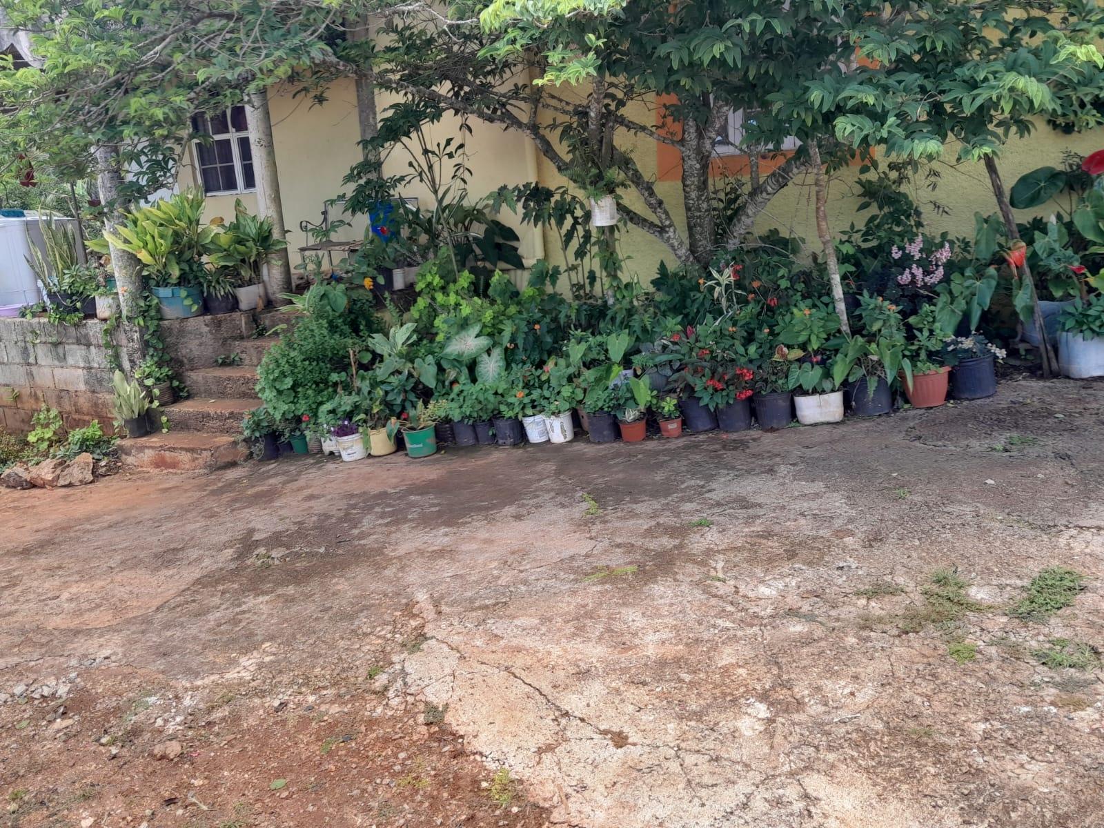 Fourteenth image of Rose Hill Manchester in Newport, Manchester, Jamaica - property is For Sale