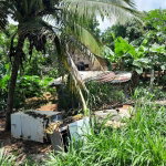 First image of Rose Hill Manchester in Newport, Manchester, Jamaica - property is For Sale