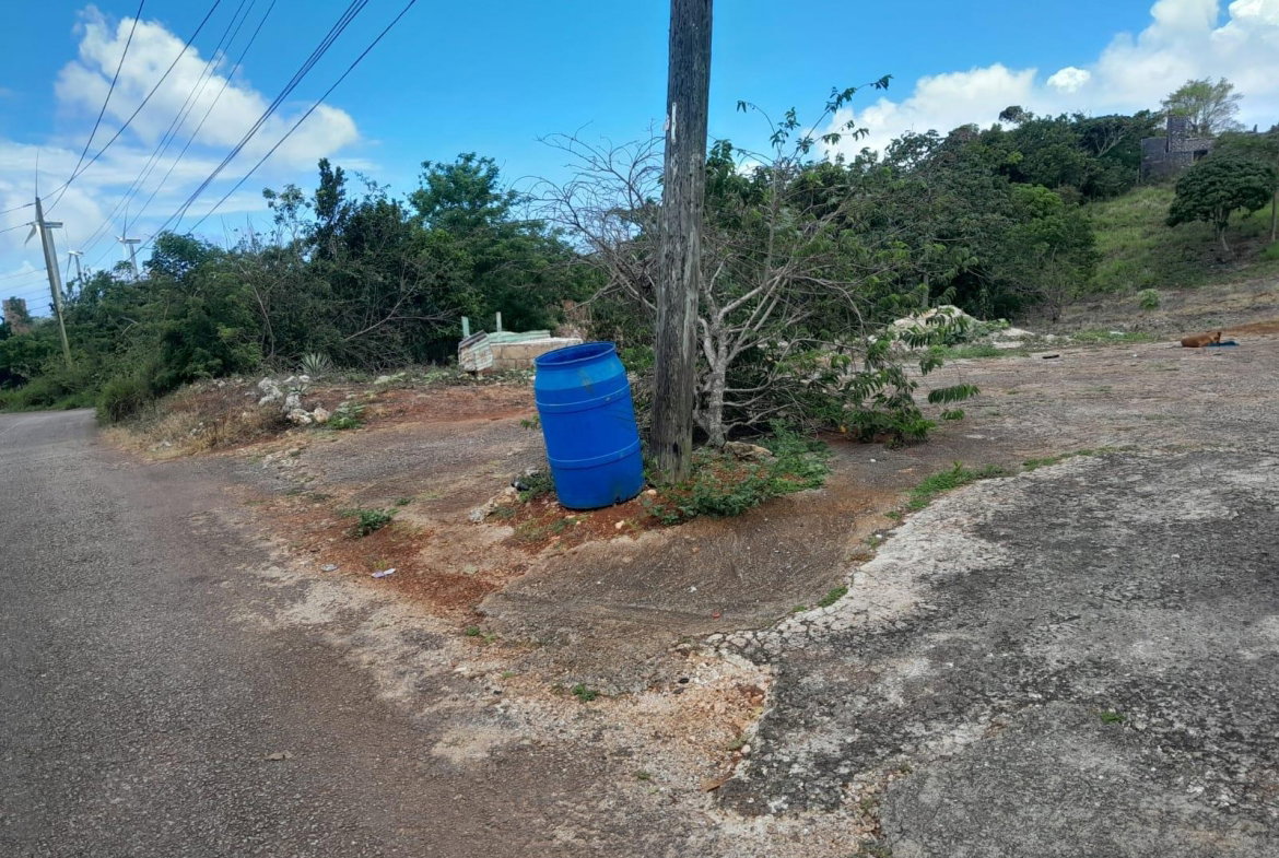 Fourth image of Rose Hill Manchester in Newport, Manchester, Jamaica - property is For Sale