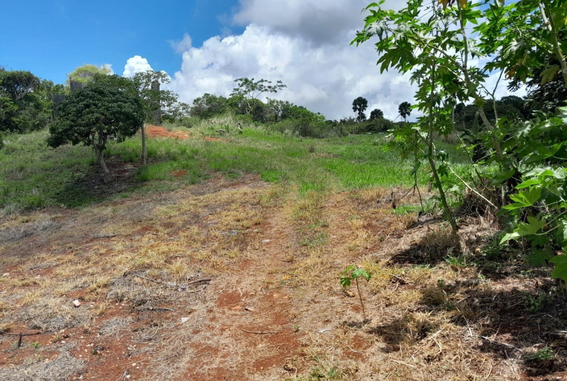 Fifth image of Rose Hill Manchester in Newport, Manchester, Jamaica - property is For Sale