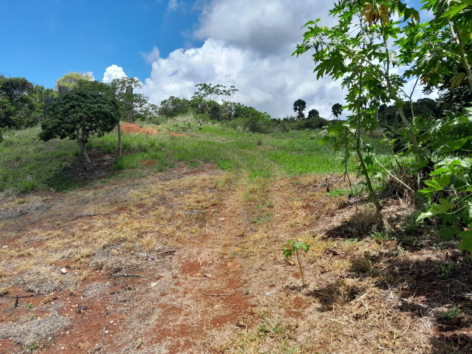 Fifth image of Rose Hill Manchester in Newport, Manchester, Jamaica - property is For Sale