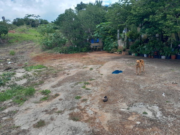 Sixth image of Rose Hill Manchester in Newport, Manchester, Jamaica - property is For Sale