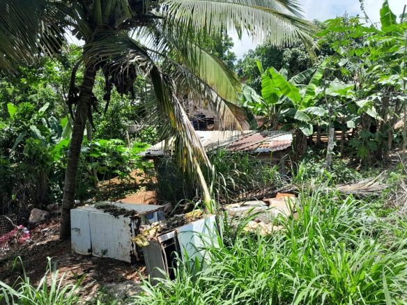 First image of Rose Hill Manchester in Newport, Manchester, Jamaica - property is For Sale