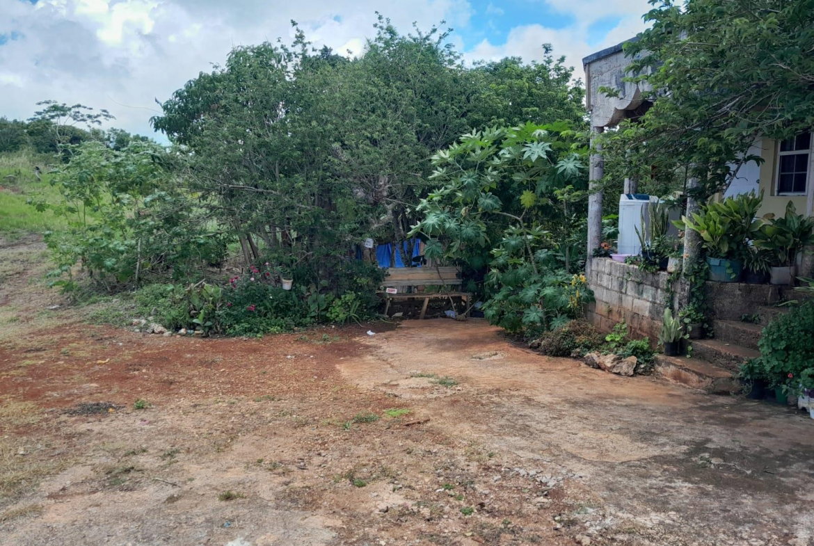 Seventh image of Rose Hill Manchester in Newport, Manchester, Jamaica - property is For Sale