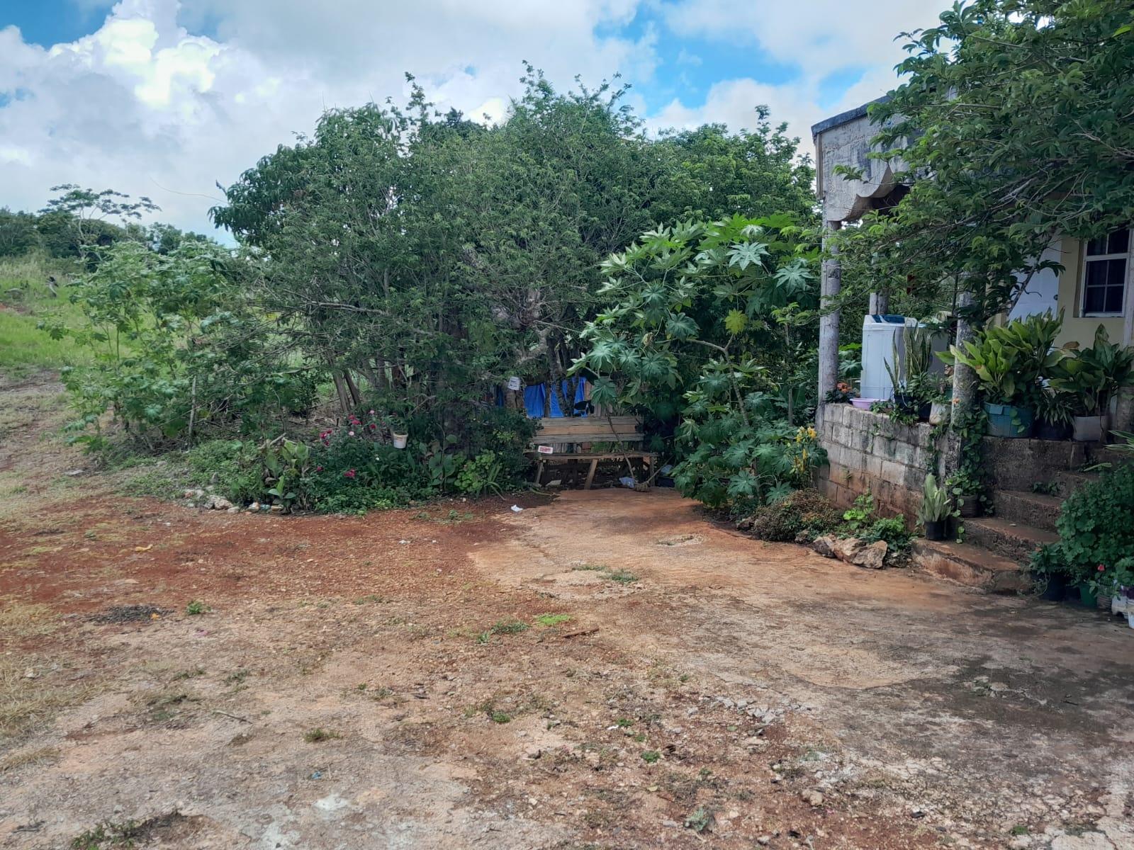 Seventh image of Rose Hill Manchester in Newport, Manchester, Jamaica - property is For Sale