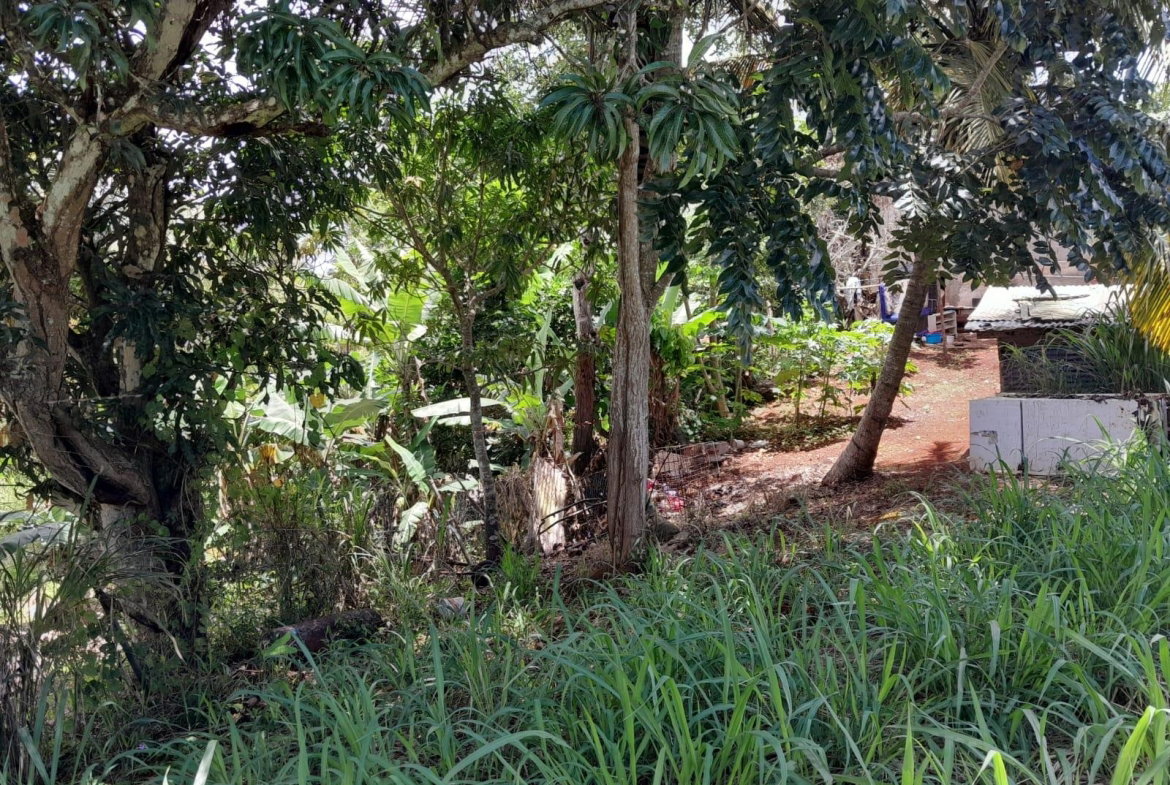 Tenth image of Rose Hill Manchester in Newport, Manchester, Jamaica - property is For Sale