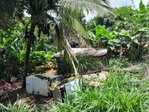 First image of Rose Hill Manchester in Newport, Manchester, Jamaica - property is For Sale