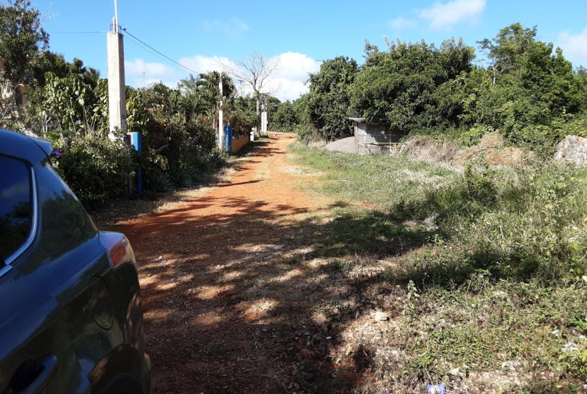 Second image of Lot 15 Rose Hill in Mandeville, Manchester, Jamaica - property is For Sale