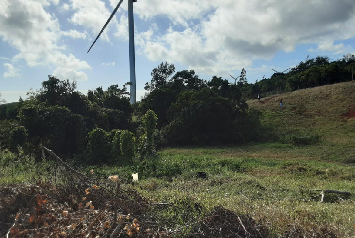 Twelfth image of Lot 15 Rose Hill in Mandeville, Manchester, Jamaica - property is For Sale