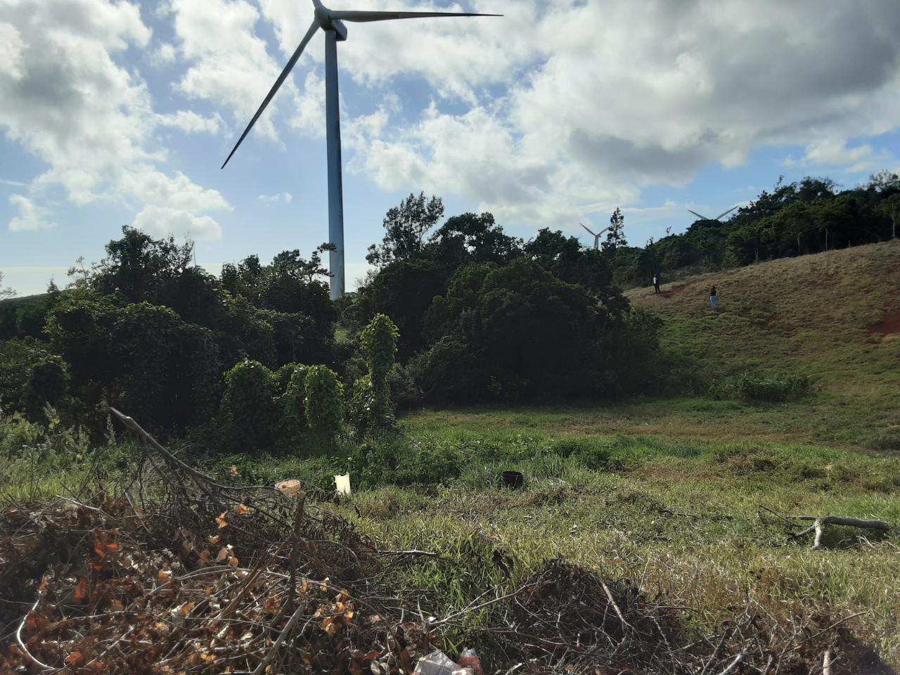 Twelfth image of Lot 15 Rose Hill in Mandeville, Manchester, Jamaica - property is For Sale