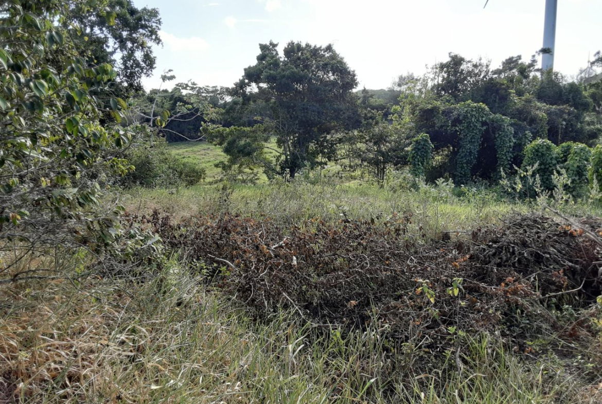 First image of Lot 12 Rose Hill in Mandeville, Manchester, Jamaica - property is For Sale
