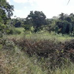 First image of Lot 12 Rose Hill in Mandeville, Manchester, Jamaica - property is For Sale