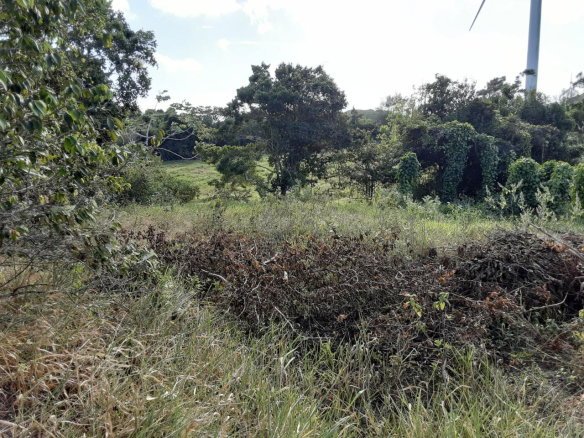 First image of Lot 12 Rose Hill in Mandeville, Manchester, Jamaica - property is For Sale