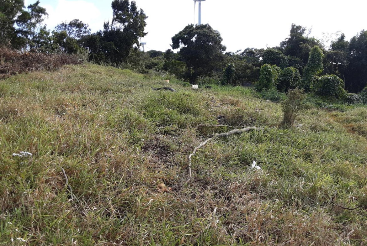 Third image of Lot 12 Rose Hill in Mandeville, Manchester, Jamaica - property is For Sale