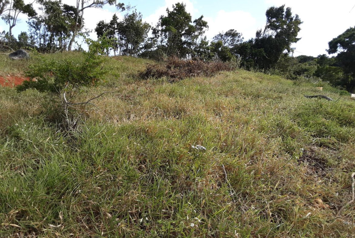 Fifth image of Lot 12 Rose Hill in Mandeville, Manchester, Jamaica - property is For Sale