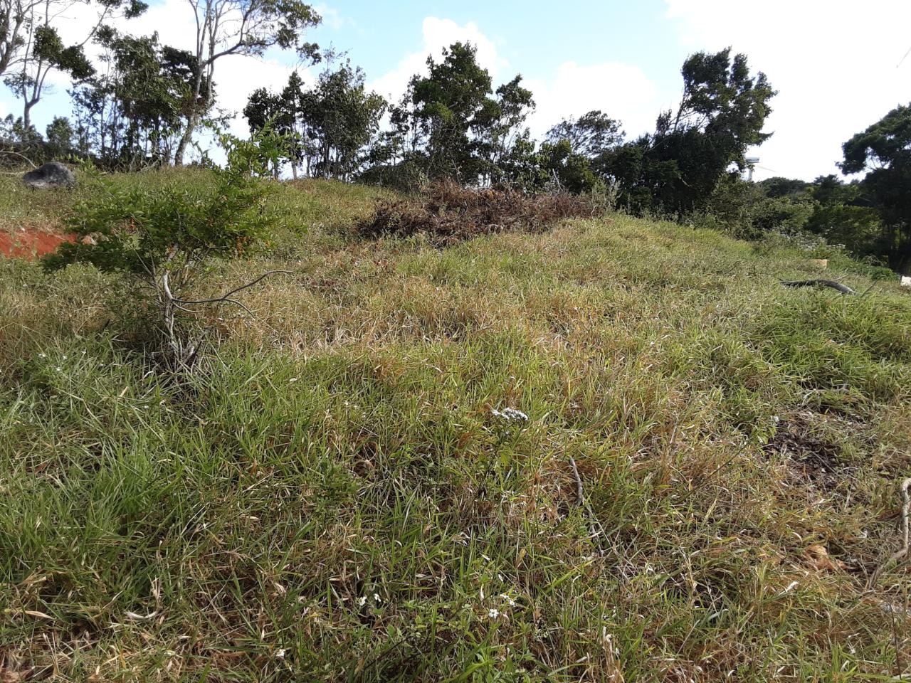 Fifth image of Lot 12 Rose Hill in Mandeville, Manchester, Jamaica - property is For Sale
