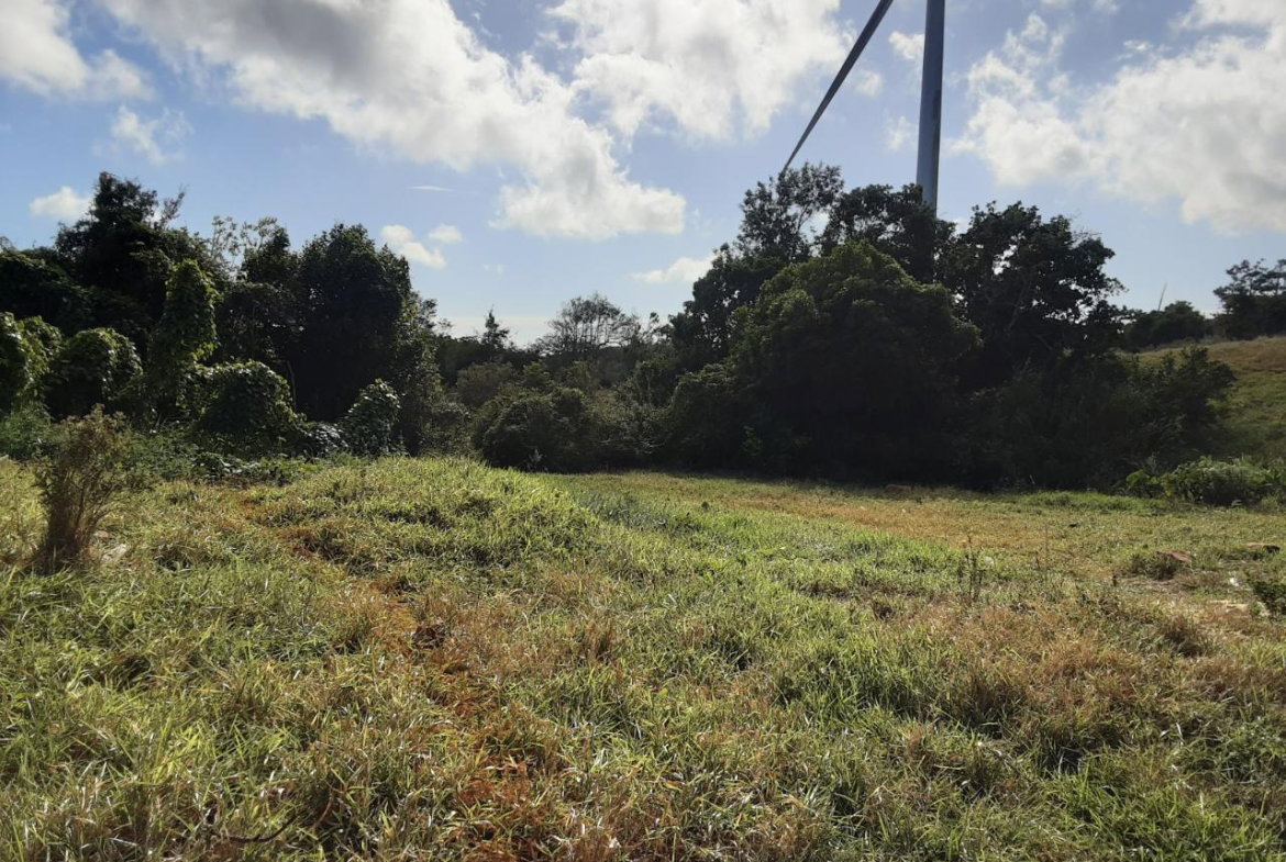 Seventh image of Lot 12 Rose Hill in Mandeville, Manchester, Jamaica - property is For Sale
