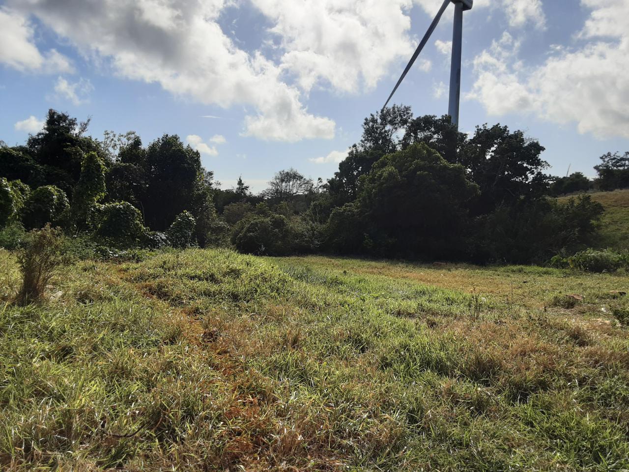 Seventh image of Lot 12 Rose Hill in Mandeville, Manchester, Jamaica - property is For Sale