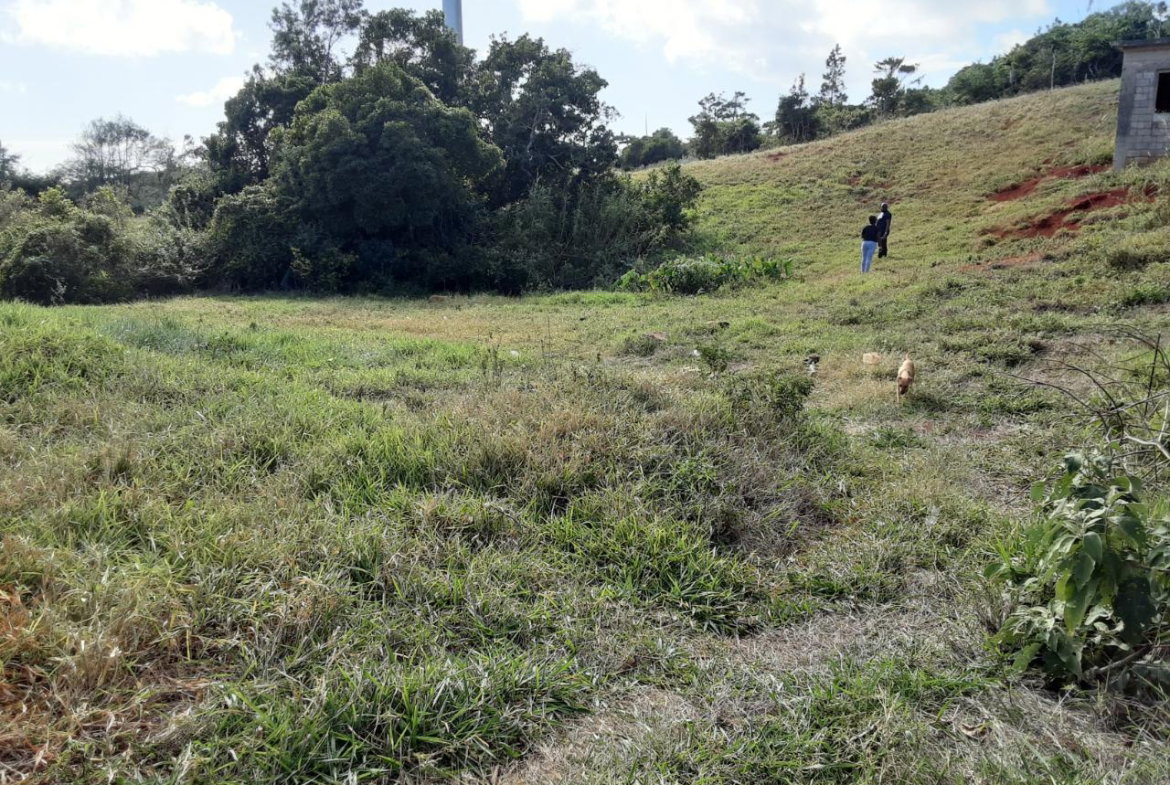 Eighth image of Lot 12 Rose Hill in Mandeville, Manchester, Jamaica - property is For Sale