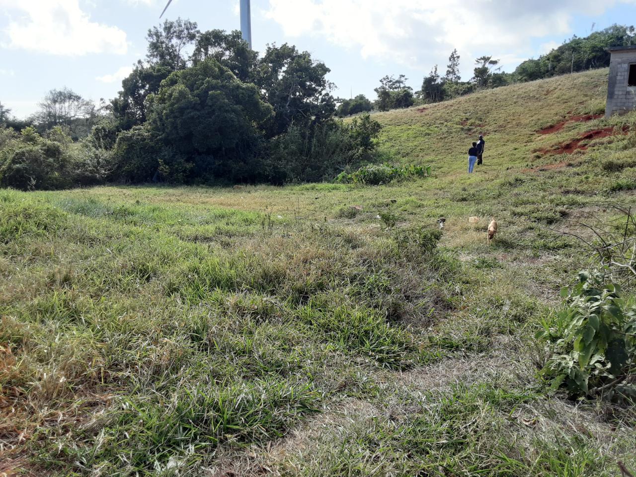 Eighth image of Lot 12 Rose Hill in Mandeville, Manchester, Jamaica - property is For Sale