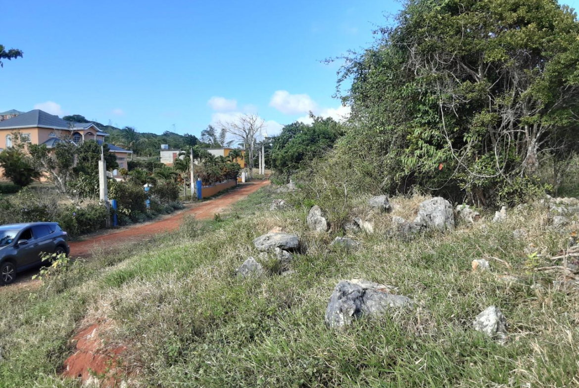 Ninth image of Lot 12 Rose Hill in Mandeville, Manchester, Jamaica - property is For Sale