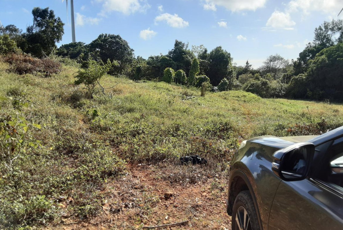 Twelfth image of Lot 12 Rose Hill in Mandeville, Manchester, Jamaica - property is For Sale